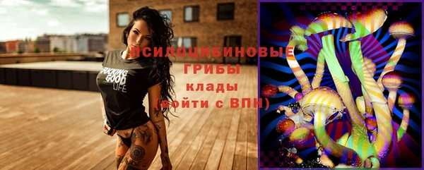 марки nbome Пересвет