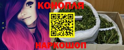 гашик Жуковский