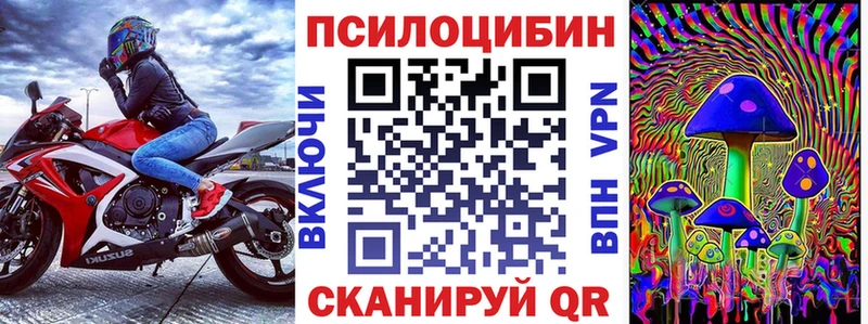 дарнет шоп  Кольчугино  Галлюциногенные грибы ЛСД 