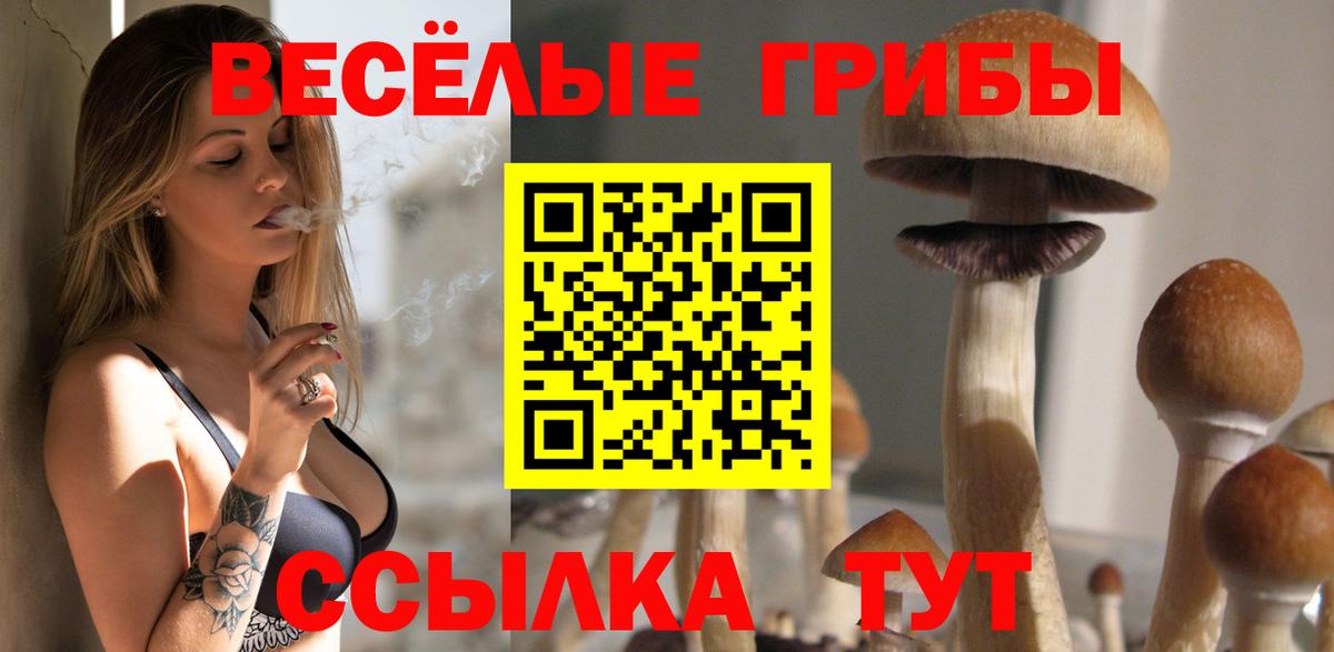 Кольчугино  цена наркотик  Вход с VPN  Псилоцибиновые грибы ЛСД 